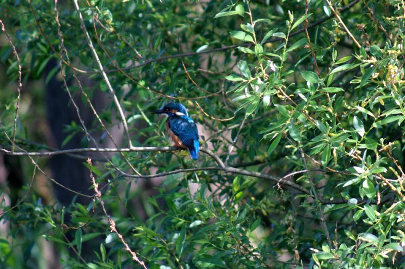 Killikus&reg; Fotographie